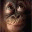 iamhappymonkey.wordpress.com