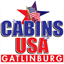 cabinsusagatlinburg.com