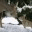 rabbitb.wordpress.com