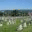 pinehallcemetery.org