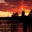 mickybboston.wordpress.com