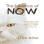 lisadow.com