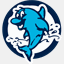 baosoft.net