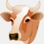 dairysolution.com