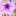 unslumping.org