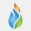 evergreenexport.co.in