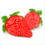 ycms.pl