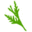 cedarcraft.com