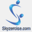 skyzercise.com