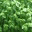 eversummergardens.com