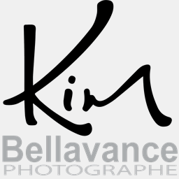 kimbellavance.com