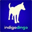 indigodingo.com