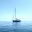 unpouletalamer.wordpress.com