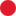 redcollarproject.com