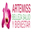 artemiss.info