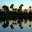 myriverlandingsblog.wordpress.com