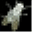wingitmounts.net