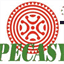 apecasyc.com