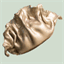 goldendumpling.ca