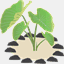 mycomaven.com