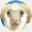 nestorwool.com