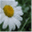 piawindisch.ch