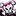 cheerrage1.weebly.com