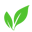 jimmylandscaping.com