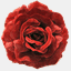 onlineflamencostudio.com