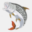 matricks.at