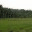 malayoram.wordpress.com