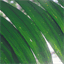 blog.coleart.com