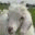 ferme-douce-laine.com
