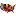 collegecoupons.studentdiscountprogram.com