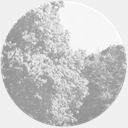 squareandcompass.com.au