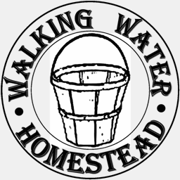 walkingwaterhomestead.com
