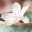 midtownmft.wordpress.com