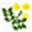 fp-mimosa.com