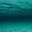 morphinna.wordpress.com