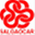 vmsalgaocar.com
