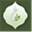 lyncrest.org