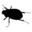 bugtet.com