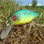carna-meuse.over-blog.com
