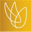 aphesisgroup.wordpress.com