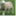 wooltops.wordpress.com