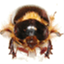 nwerc.org