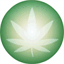 cannabioscience.com