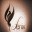 unavefenix.wordpress.com