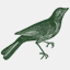 oldbirdroad.com