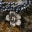 nixbits.wordpress.com